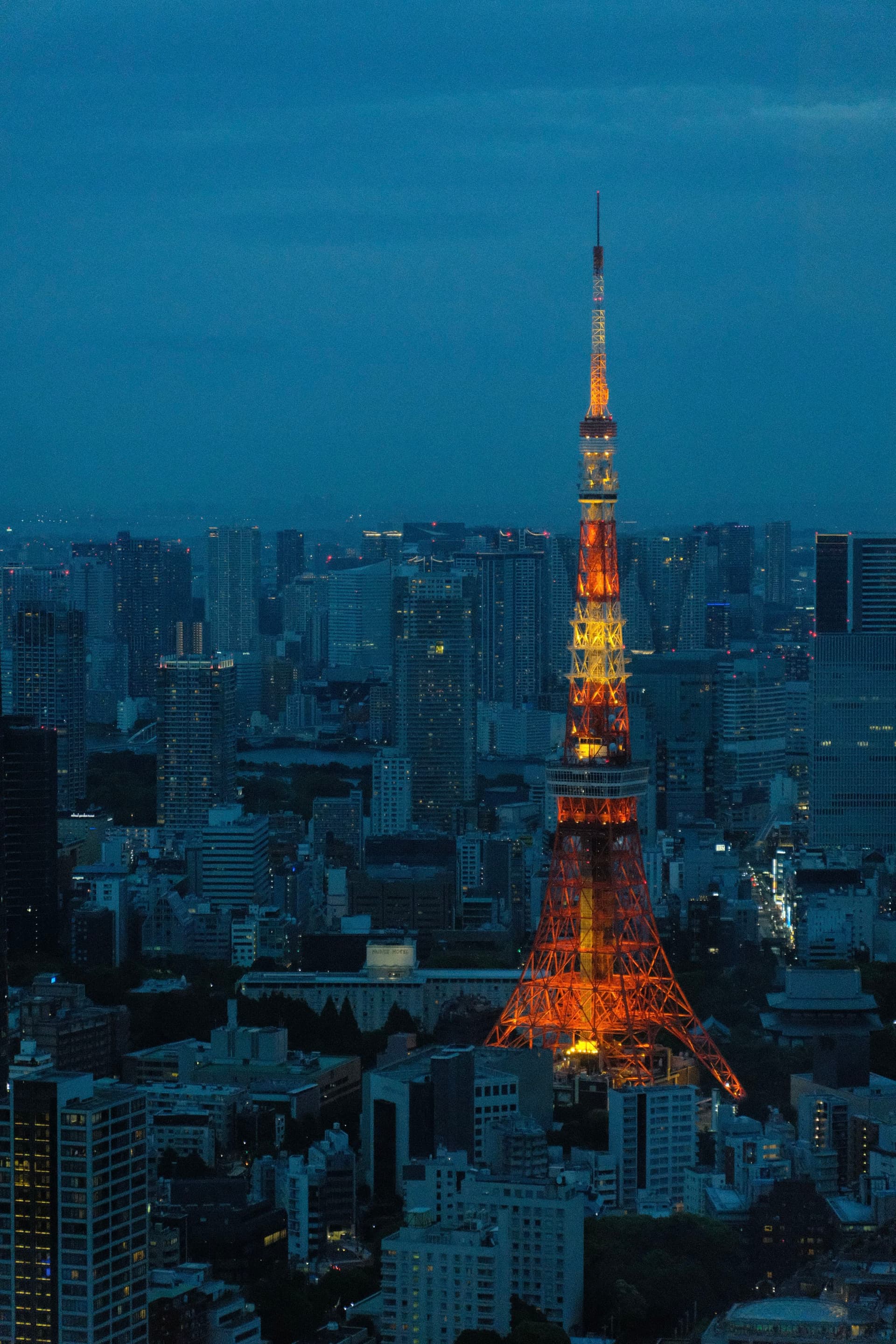 Tokyo Tower at Night